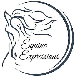 EQUINE EXPRESSIONS