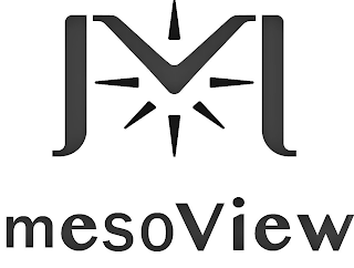 MESOVIEW