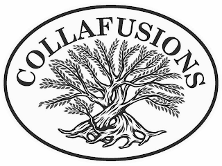 COLLAFUSIONS