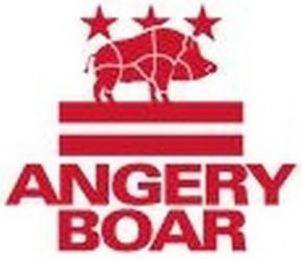 ANGERY BOAR