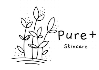 PURE+ SKINCARE