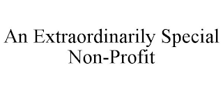 AN EXTRAORDINARILY SPECIAL NON-PROFIT