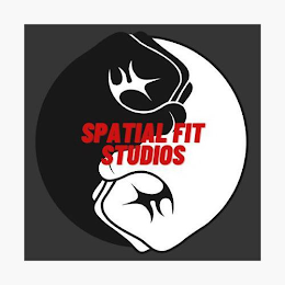 SPATIAL FIT STUDIOS