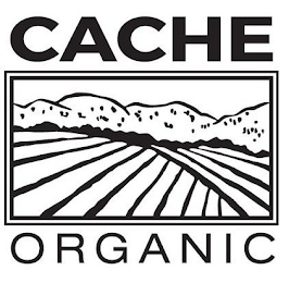 CACHE ORGANIC