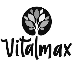 VITALMAX trademark