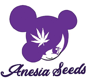 ANESIA SEEDS