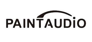 PAINTAUDIO