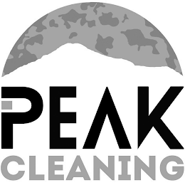 PEAK CLEANING