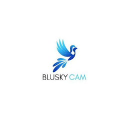 BLUSKY CAM