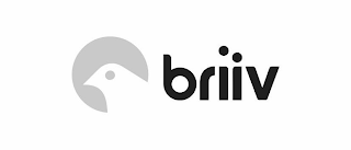 BRIIV