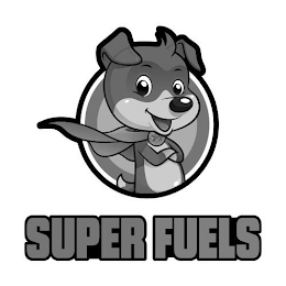 SUPER FUELS