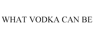 WHAT VODKA CAN BE