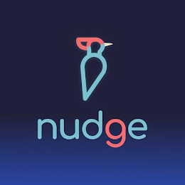 NUDGE