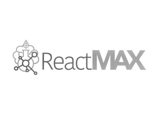 REACTMAX