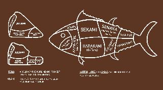 NOTEN SEKAMI SENAKA (HIGHEST QUALITY AKAMI) SESHIMO HARASHIMO HARANAKA (CHU-TORO) HARAKAMI (O-TORO) KAMA-TOTO (BACK CHEEK) HOHO-NIKU (CHEEK) AKAMI RED MUSCLE CHU-TORO (FATTY TUNA) WAKAREMI (HIRE) KAMI (CHU TORO) SHIMOFURI (O-TORO, EXTRA-FATTY) JABARA (O-TORO, EXTRA-FATTY) TORO A DELICACY (THE WORD MEANS "TO MELT") THE FATTIER IT IS, THE BETTER AKAMI THE MOST COMMON SUSHI TUNA, LEAN AND DEEP RED IN COLOR NOTEN, HOHO AND KAMA ARE THE RAREST AND MOST PRIZED CUTS