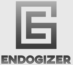 E ENDOGIZER