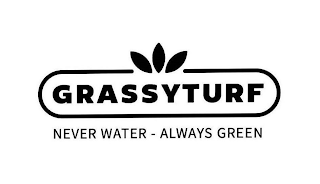 GRASSYTURF NEVER WATER - ALWAYS GREEN