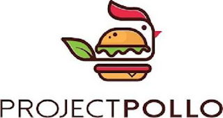 PROJECT POLLO