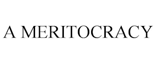 A MERITOCRACY