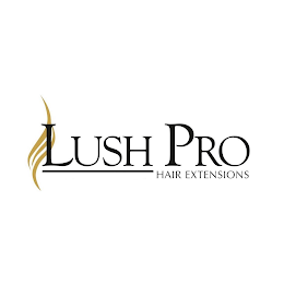 LUSH PRO HAIR EXTENSIONS