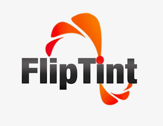 FLIPTINT