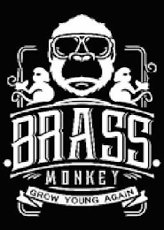 BRASS MONKEY GROW YOUNG AGAIN