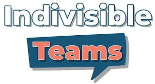 INDIVISIBLE TEAMS