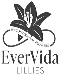 EVERVIDA LILLIES BY CONTINENTAL FLOWERS