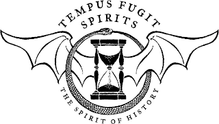 TEMPUS FUGIT SPIRITS THE SPIRIT OF HISTORY