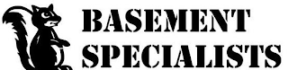 BASEMENT SPECIALISTS