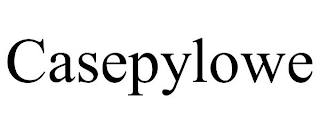 CASEPYLOWE