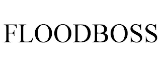 FLOODBOSS