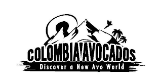 COLOMBIA AVOCADOS DISCOVER A NEW AVO WORLD