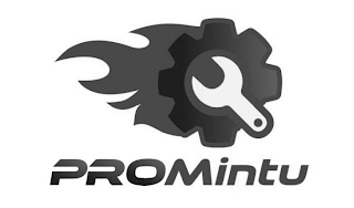 PROMINTU