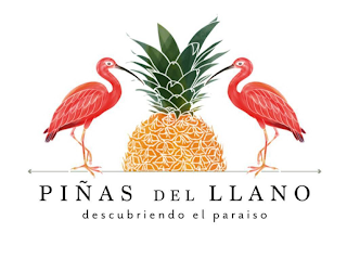 PIÑAS DEL LLANO DESCUBRIENDO EL PARAISO