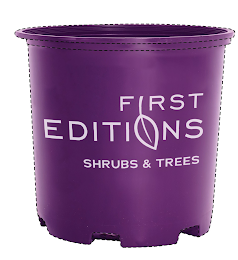 FIRST EDITIONS SHRUBS & TREES