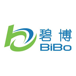 B BIBO