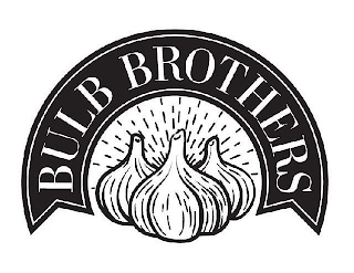 BULB BROTHERS