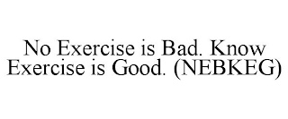 NO EXERCISE IS BAD. KNOW EXERCISE IS GOOD. (NEBKEG)