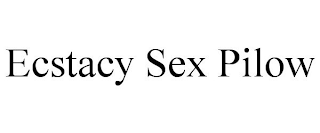 ECSTACY SEX PILOW
