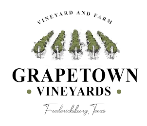 VINEYARD AND FARM GRAPETOWN ·  VINEYARDS · FREDERICKSBURG TEXAS