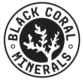 BLACK CORAL MINERALS