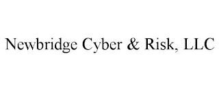 NEWBRIDGE CYBER & RISK, LLC