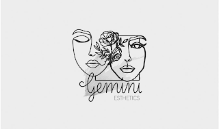 GEMINI ESTHETICS