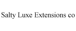 SALTY LUXE EXTENSIONS CO