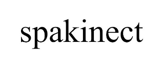 SPAKINECT