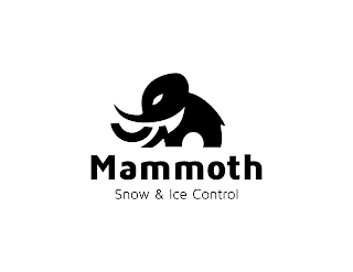 MAMMOTH SNOW & ICE CONTROL