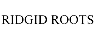 RIDGID ROOTS