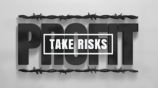 TAKE RISKS PROFIT