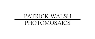 PATRICK WALSH ______________________ PHOTOMOSAICS